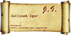 Jellinek Igor névjegykártya
